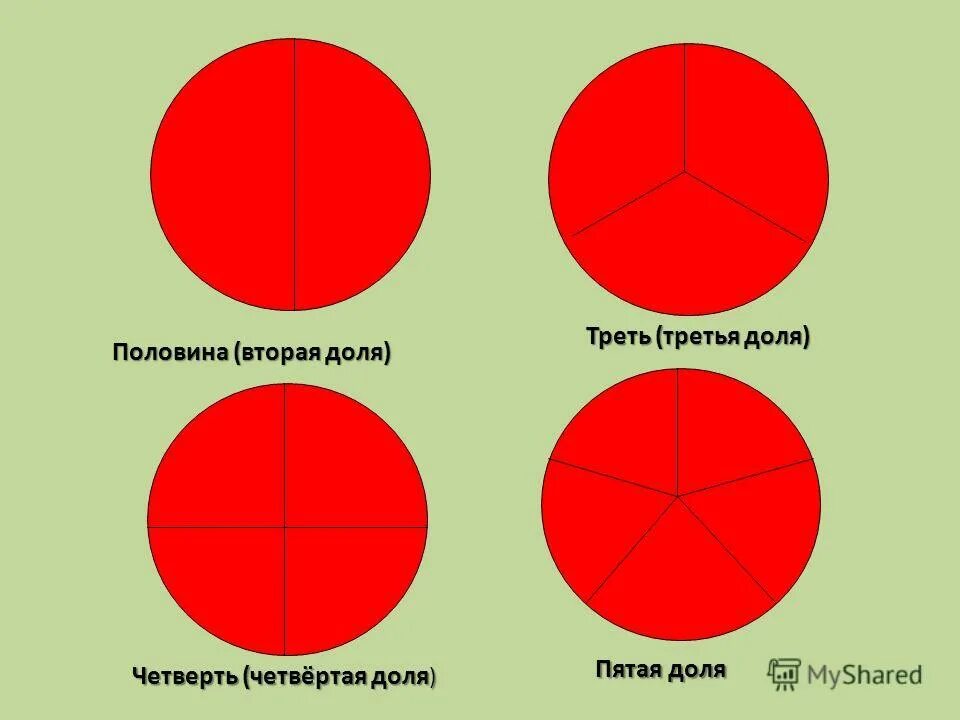 Деление пг. Круг поделенный на доли. Доли половина треть четверть. Круг на 4 части. Деление круга на доли.