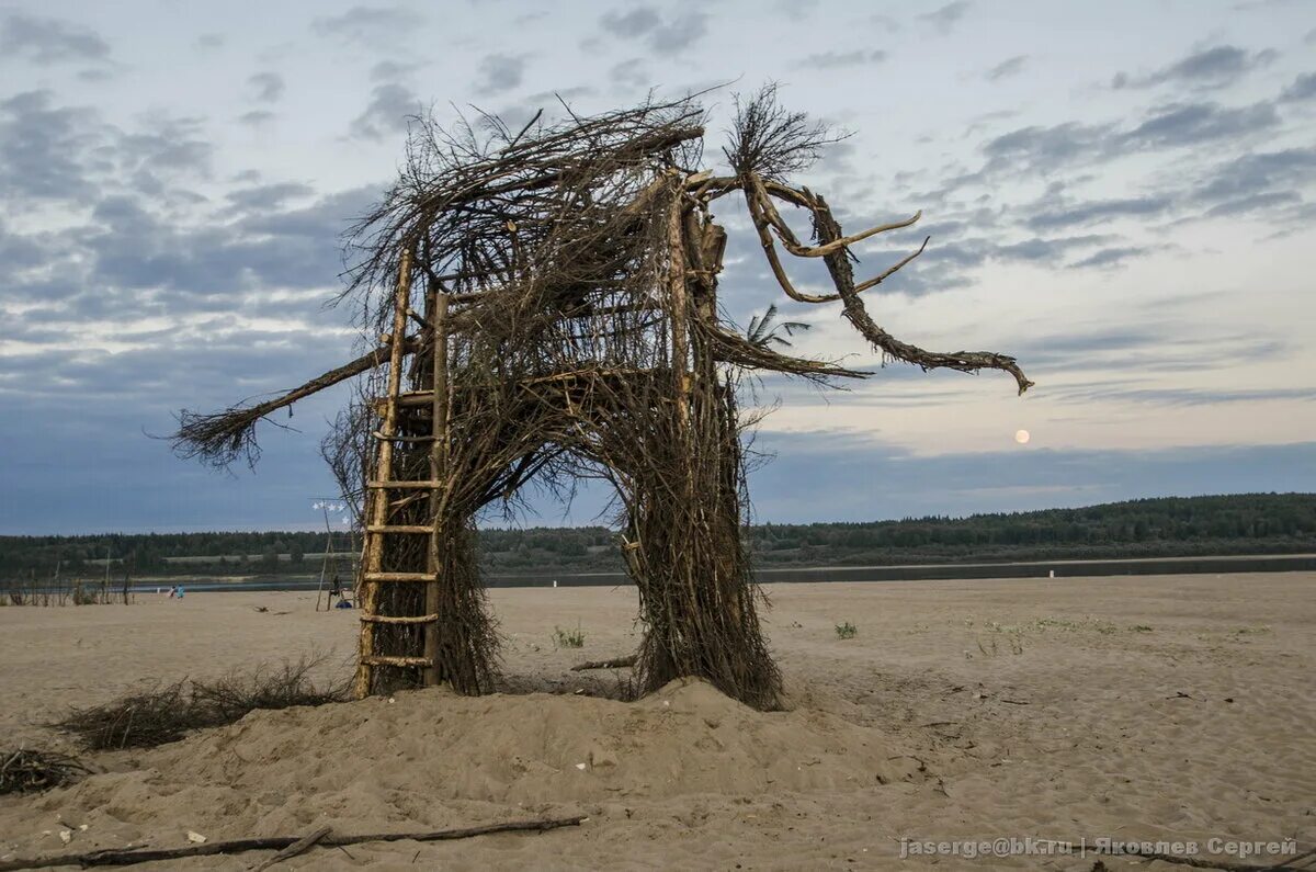 Фестиваль тайбола 2019. Тайбола брин наволок. Фестиваль тайбола 2019. Тайбола 2024. Тайбола 2024 где пройдет.