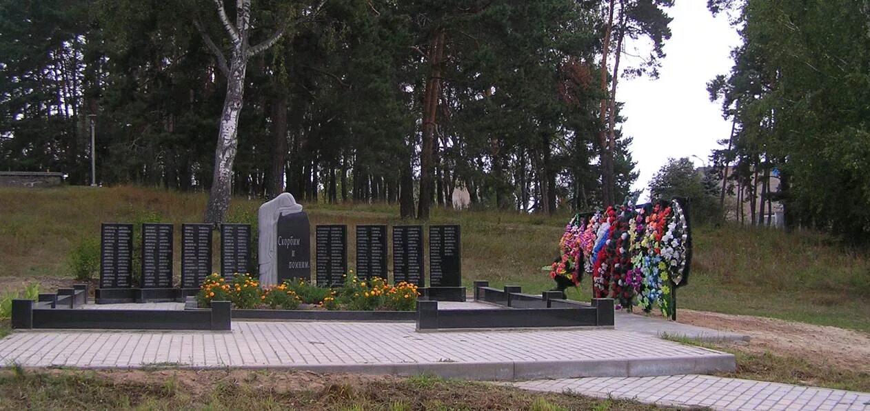 Парк Захаркина Кременки. Город Кременки Калужской области. Кремёнки Калужская область мемориал. Кремёнки Жуковский район Калужская область.