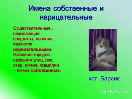 Имена ставшие нарицательными