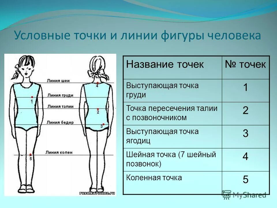 Фигура человека название