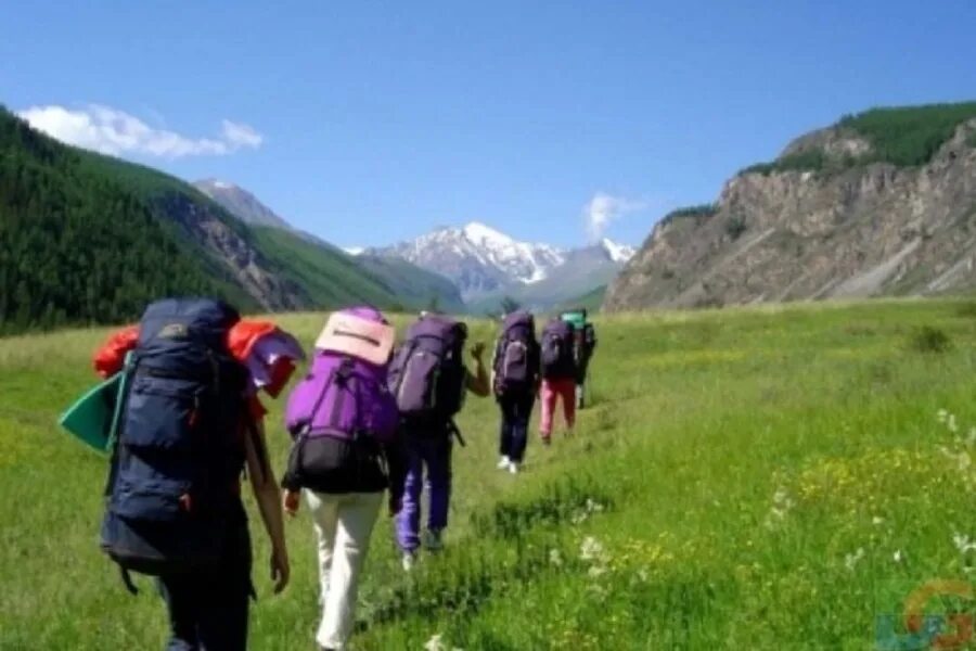 Экотуризм горный Алтай. Познавательный туризм в Алтае. Экологический туризм. Рекреационный туризм. Направления рекреационного туризма