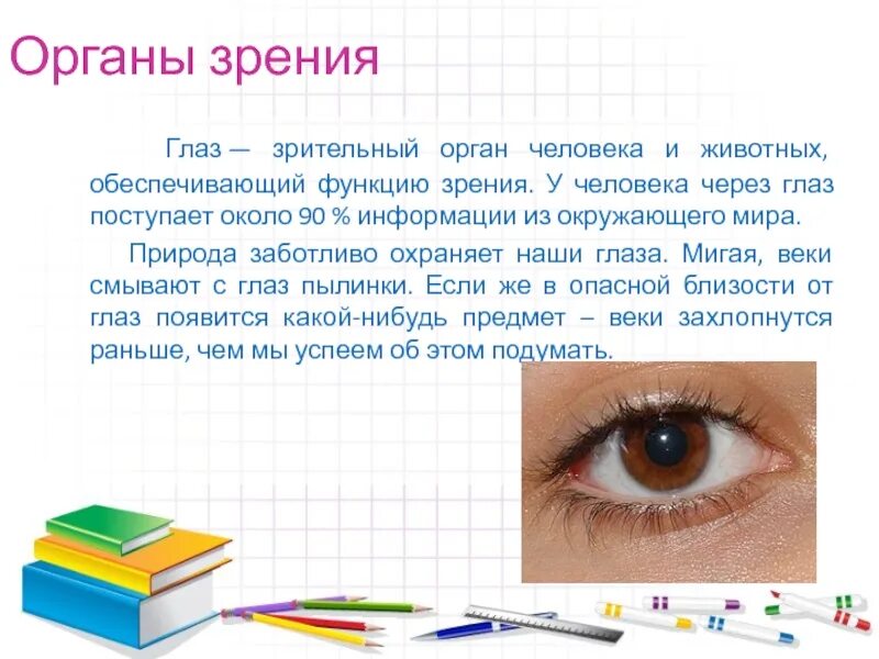 Сообщение о органе зрения. Глаза орган зрения. Сообщение о зрении. Интересные факты о глазах человека.