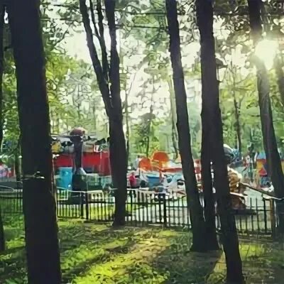 Бабушкинский парк 1 июня