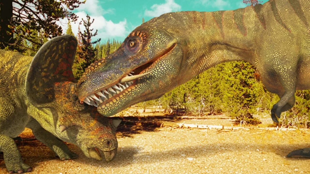 Динозавры убийцы. Трицератопс и рекс. Тарбозавр и Трицератопс. Тираннозавр и Трицератопс. Прогулки с динозаврами Тиранозавр.