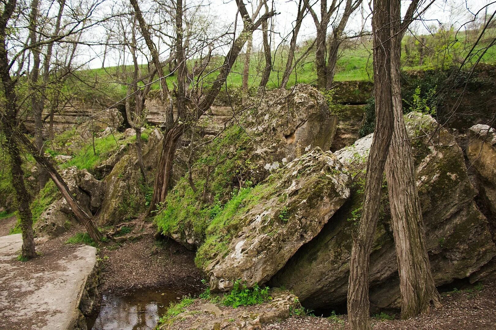 Плачущая скала, с.Водное, Республика Крым - "Уникальность Крыма не вызывает сомн