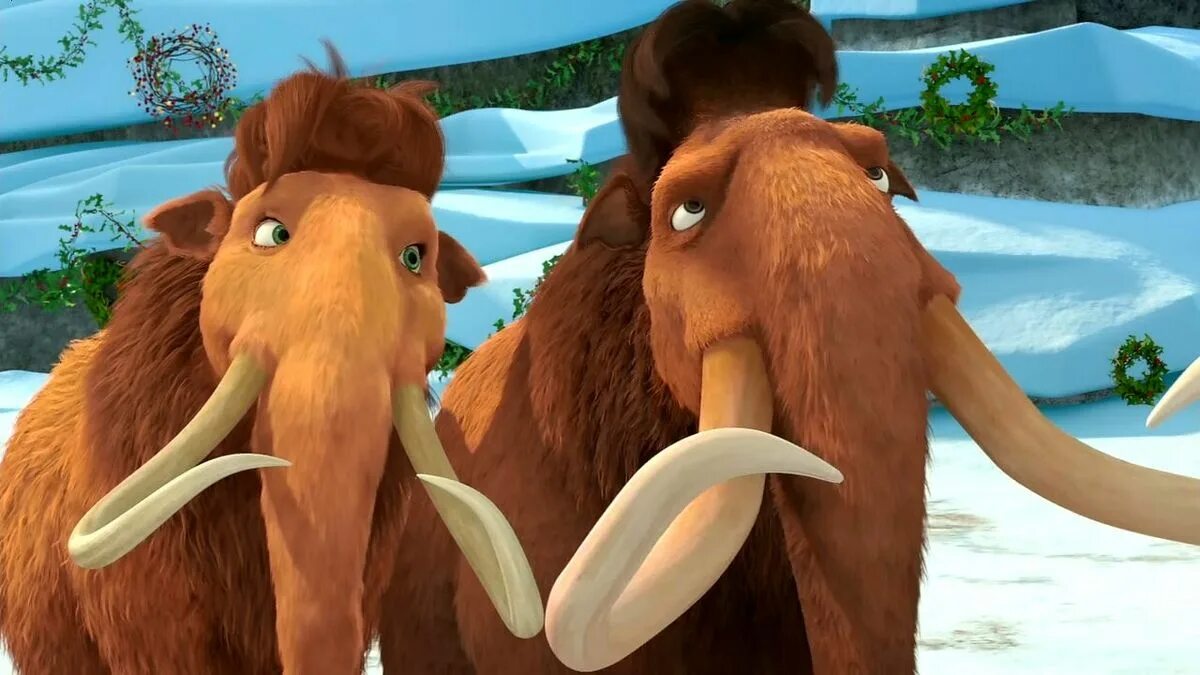 Мамонтиха элли из ледникового периода. Как звали мамонта из ледникового. Ледниковый период: гигантское рождество (2011). Ледниковый период 5 персик. Мамонт мэнни и элли.