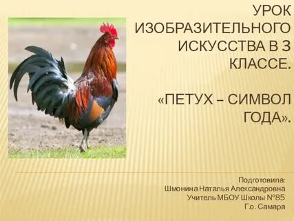 Петушки 3 класс