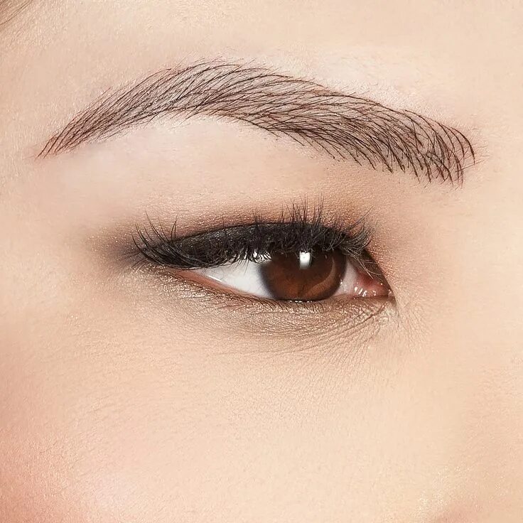 Need models in Ekol Academy Procedure entry: https://vk.com/write-128678770 19.0