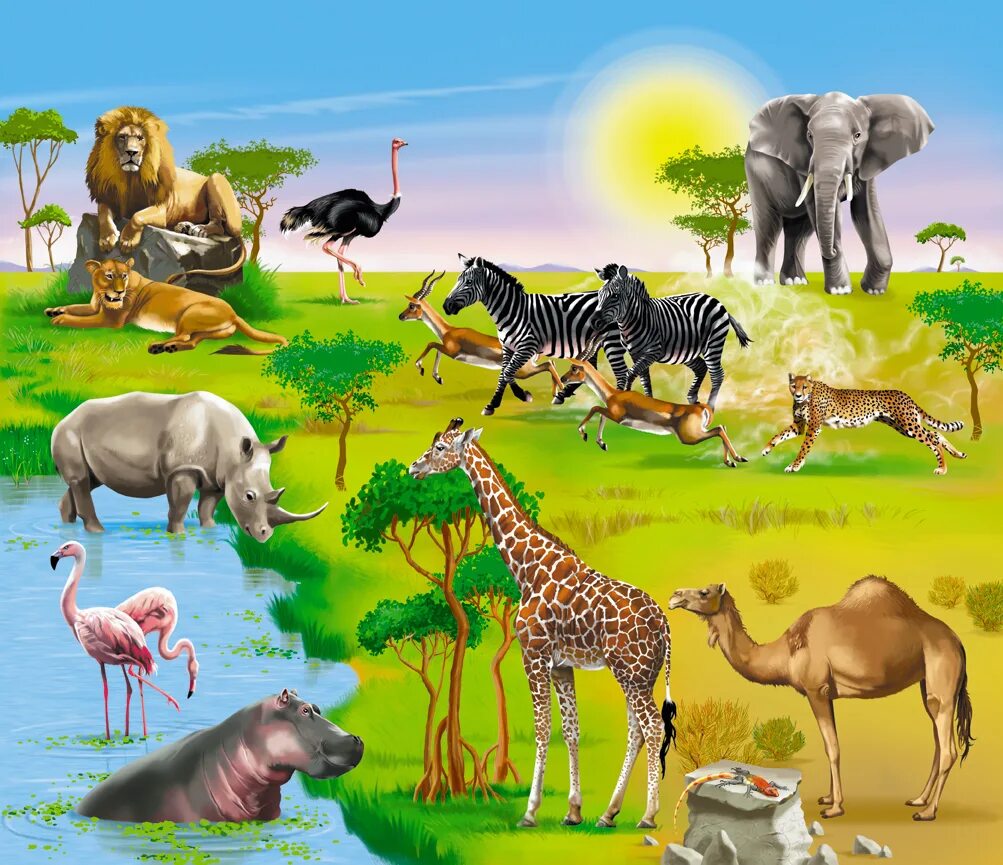 Кто живет в африке животные. Животные Африки для детей. Обитатели саванны. Животные саванны для детей. Дикие животные Африки.