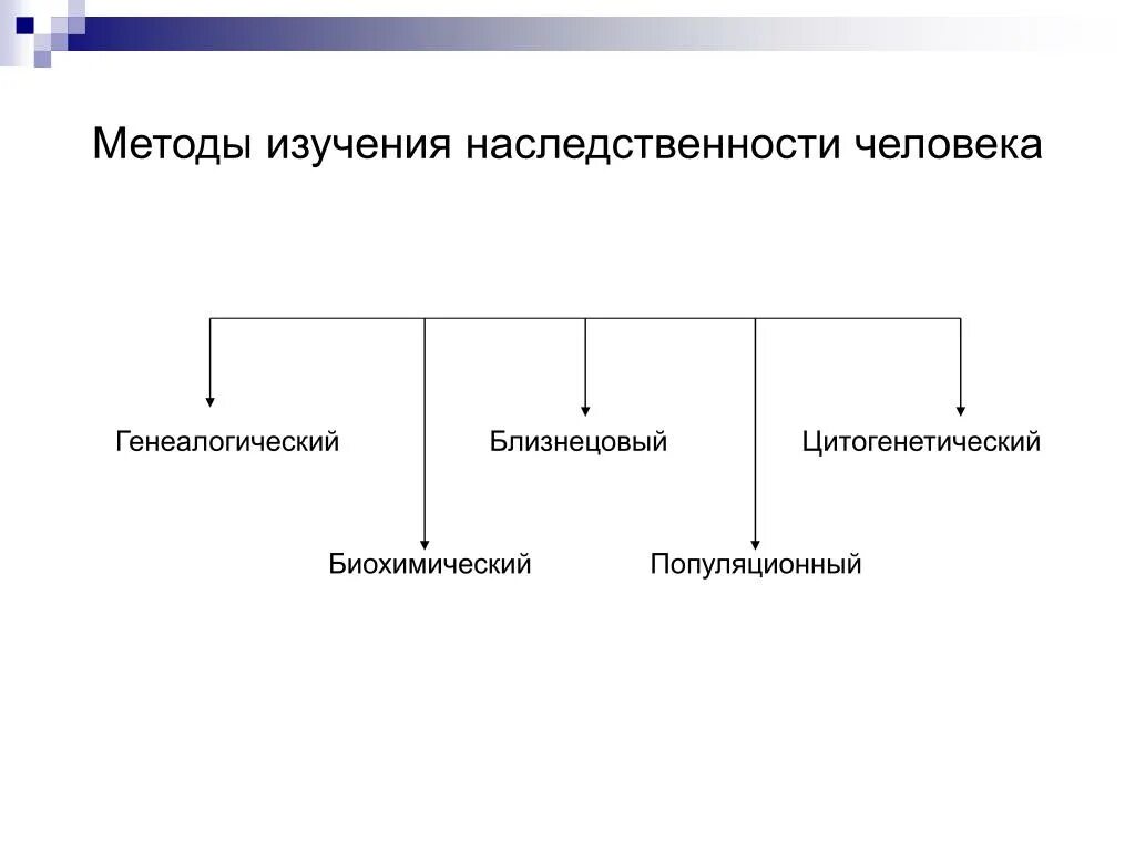 Методы изучения наследственности человека схема. Генетический метод исследования генетики человека. Методы изучения генетики схема. Метод изучения наследственности человека таблица. Какие методы исследования представлены на рисунках