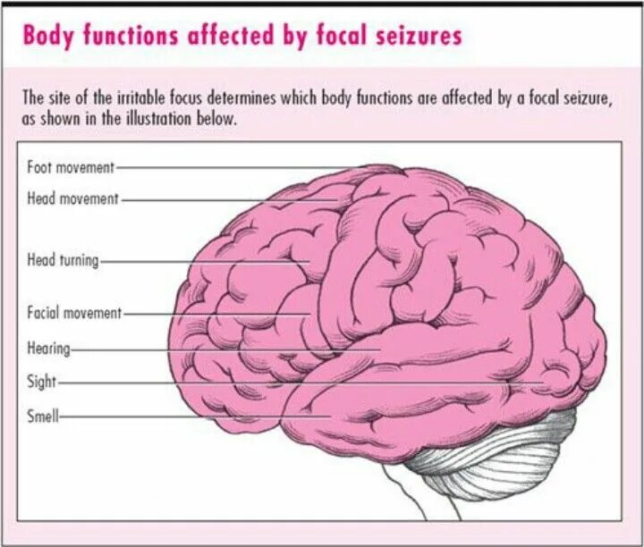 Bodily functions