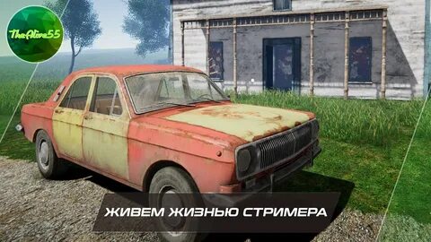Стример лайф
