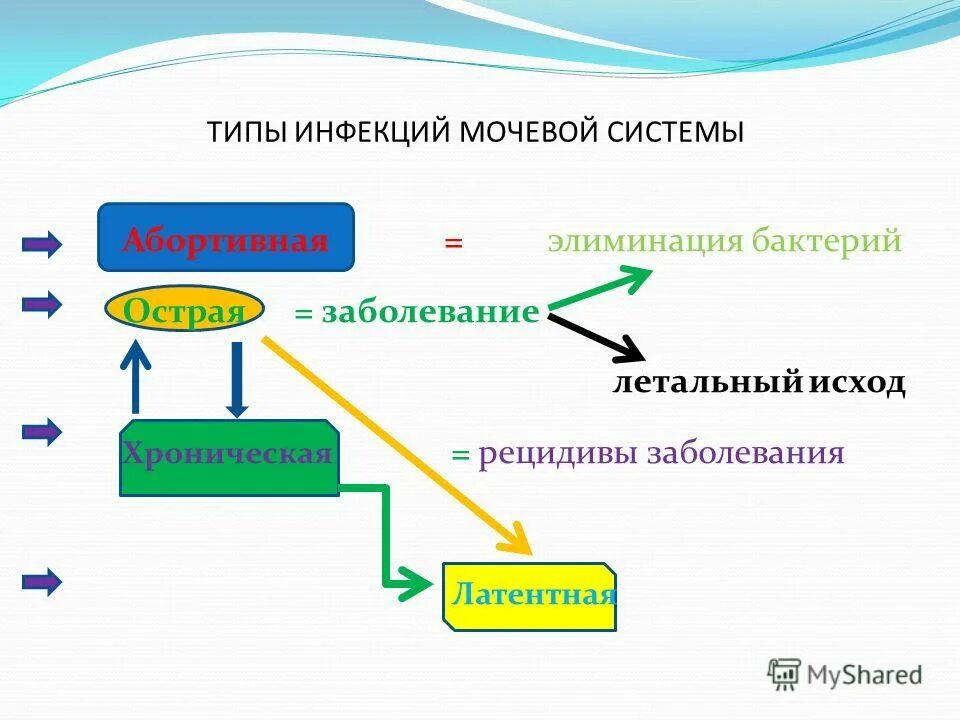 типы инфекций