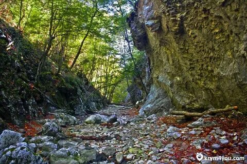 Кок асан