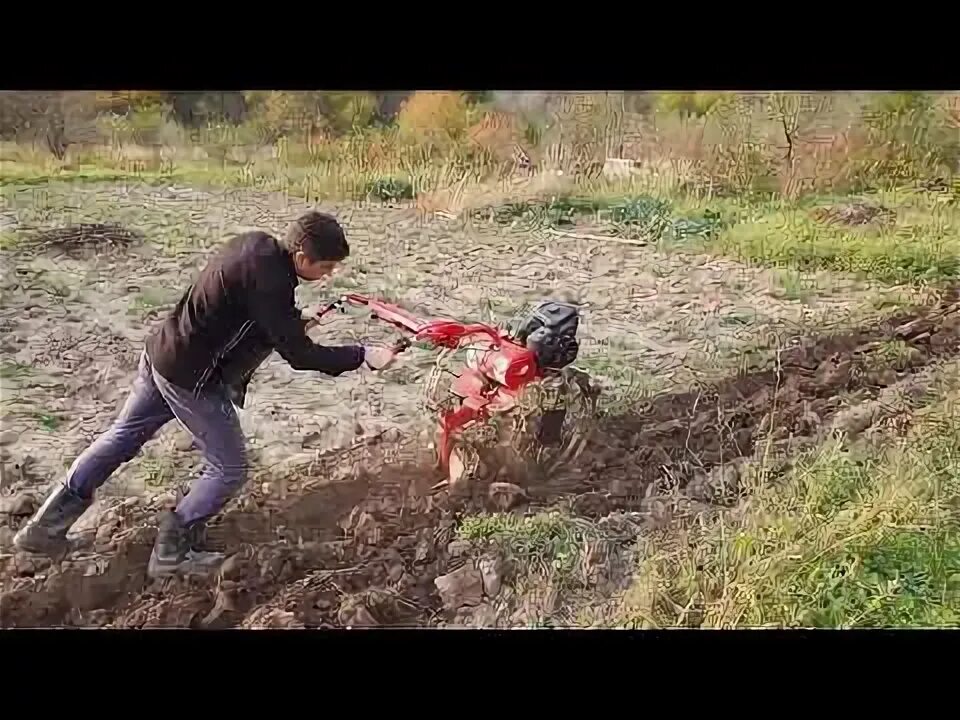 Пашим плугом под зиму