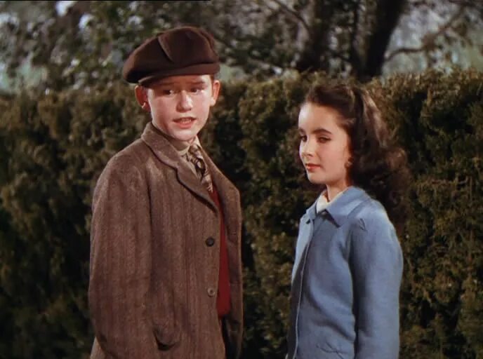 Фильм лесси возвращение домой. Лесси 1943. Лесси возвращается домой 1943. Элизабет тейлор лесси. Возвращение домой постер.