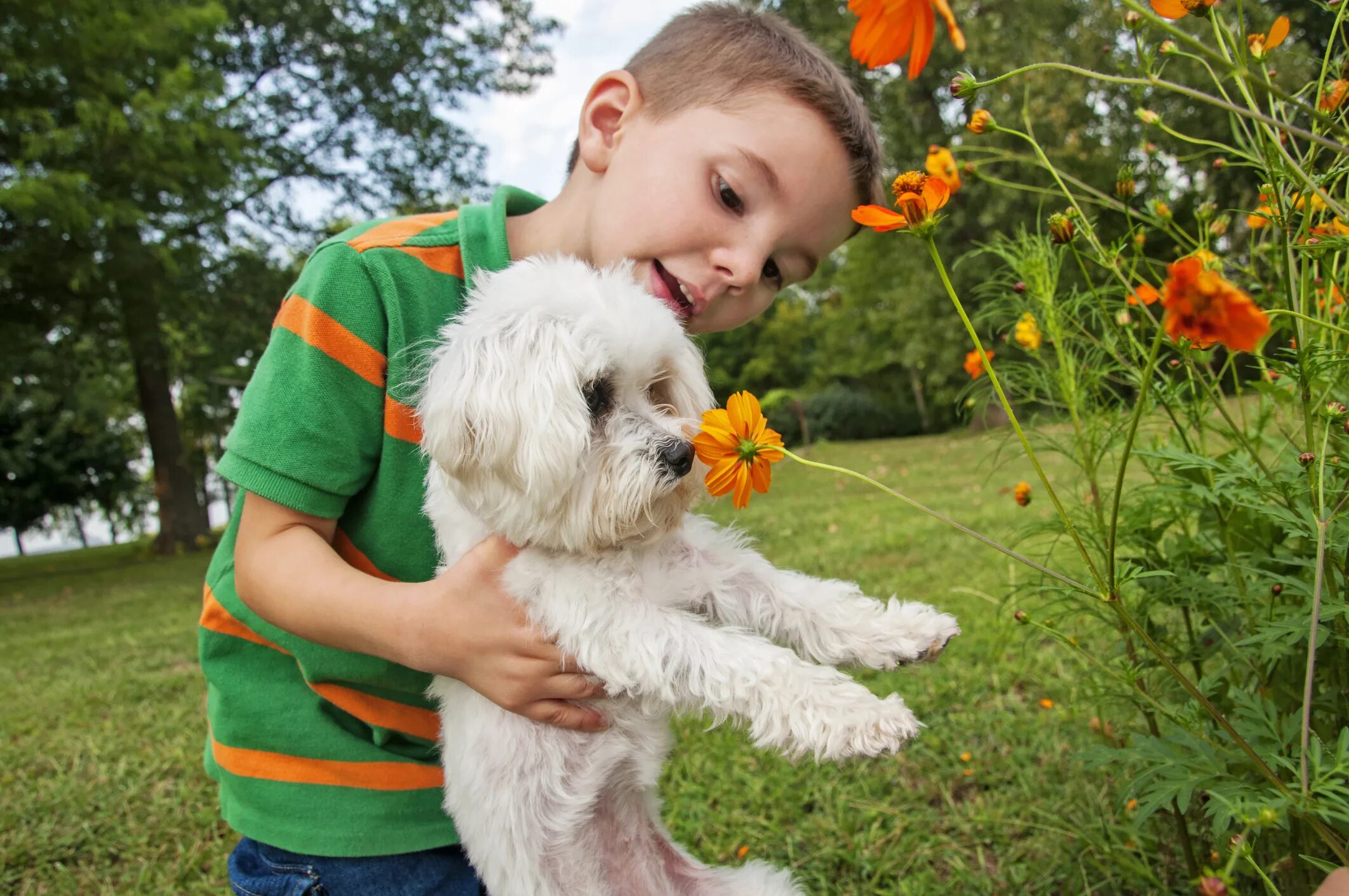 Мальчик держит собаку на руках. Щенок держит цветок. Фото мальчик держит собаку.