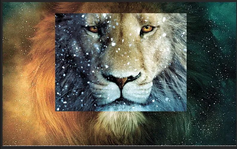 лев цитаты. изображение льва. лев знак зодиака мужчина. страсть львов. женское поведение результат мужского отношения.