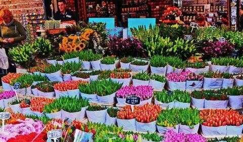 На рынке цветочной продукции города н несколько