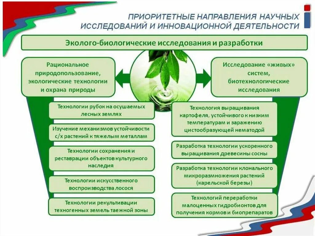 Приоритетные направления научных исследований. Эколого биологическая деятельность. Инновационные технологии в экологии. Эколого биологическое направление. Направления экологической деятельности