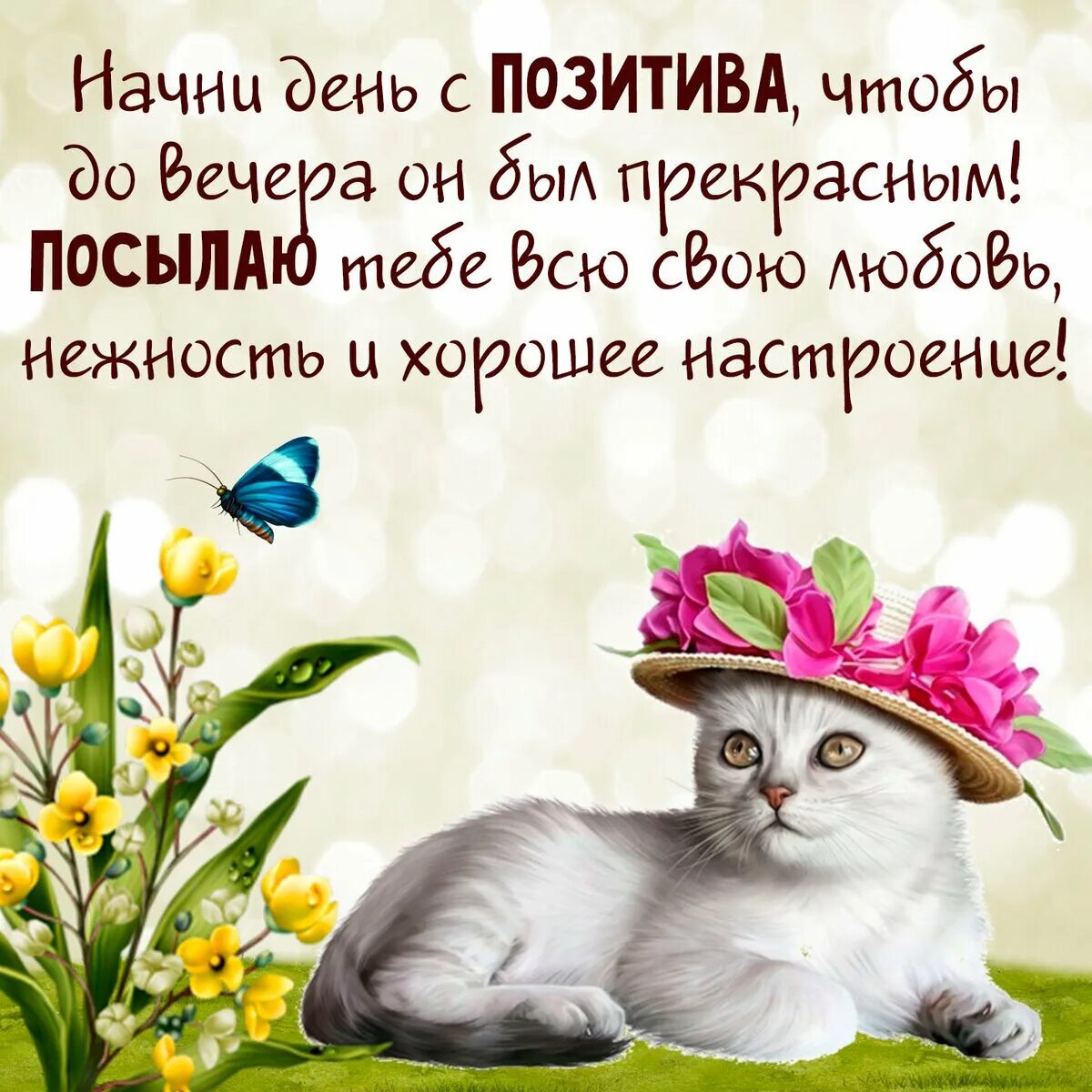 Доброе картинки с пожеланиями свежие. Добрые пожелания. Поздравления с добрым днем и с хорошим настроением. Позитивные поздравления. Открытки с позитивными пожеланиями.