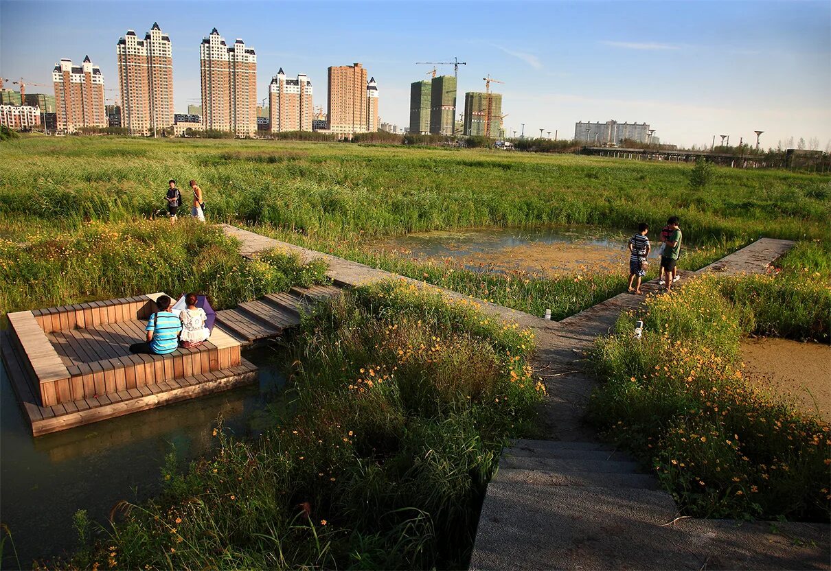 Гор болотный. Turenscape болотный парк. Ветланд парк в Китае. Turenscape ландшафт. Qunli Stormwater Wetland Park / Turenscape.