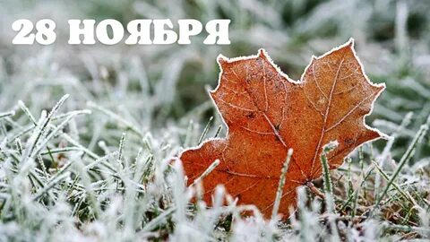 С добрым утром картинки осенние снежные ноябрьские