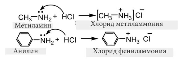 Гидроксид метиламин хлорид метиламин. Анилин хлорид фениламмония. Из анилина хлорид фениламмония. Нитробензол хлорид фениламмония. Хлорид фениламмония и метиламин.