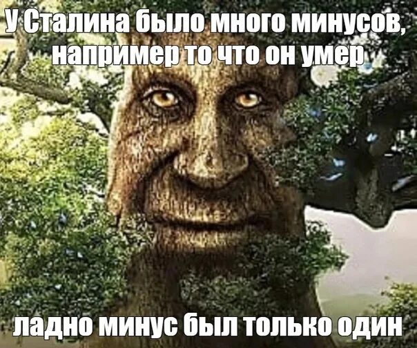 Дерево с лицом мем Создать мем "сказочное дерево с лицом, мужчина, человек дерево" Картинки Mem