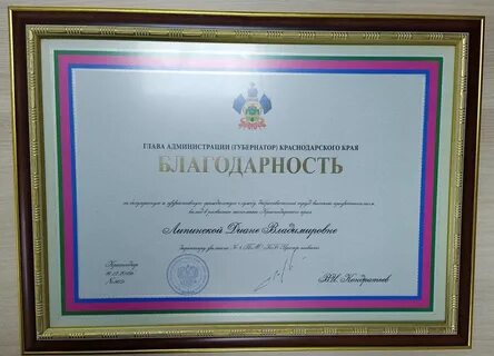 План губернатора