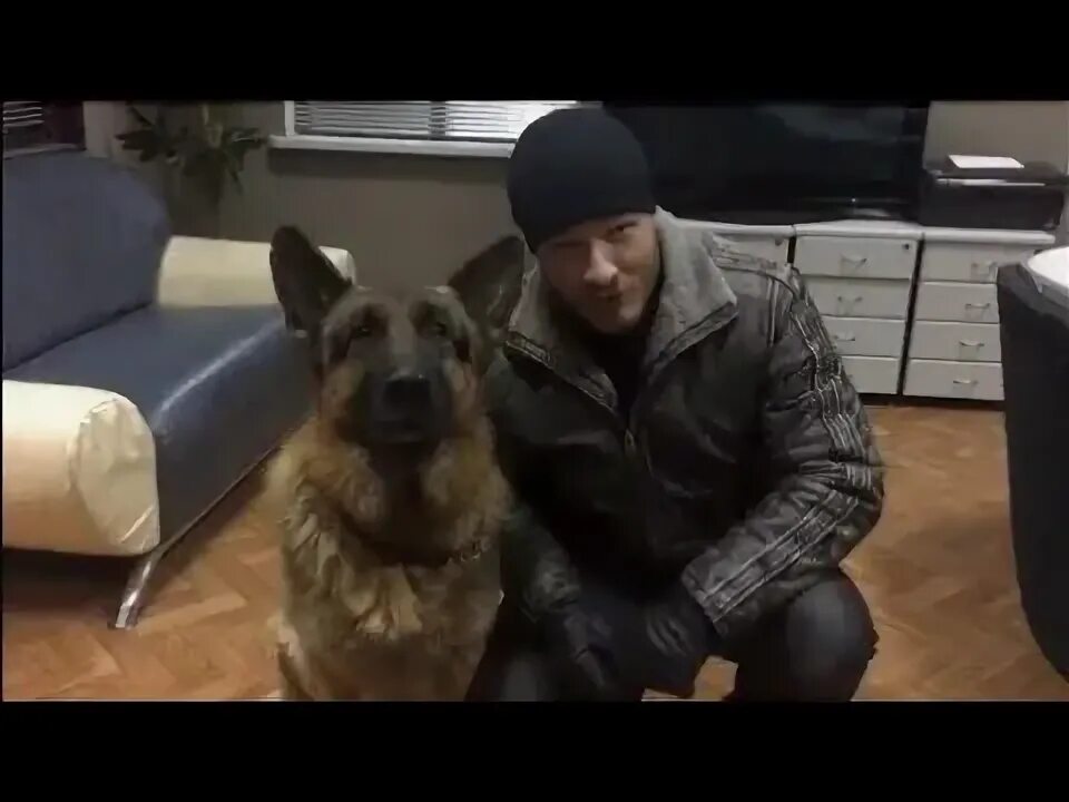 Пес где есть макс. Пес где есть макс. Пес где есть макс. Пес где есть макс. Пес где есть макс.