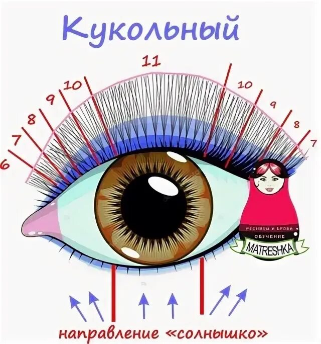 Натуральный эффект наращивания ресниц 2d схема. Наращивание ресниц лисий эффект 2д схема. 5 д наращивание ресниц натуральный эффект схема. Наращивание ресниц лисий эффект 2д схема. Лисий эффект схема наращивания.