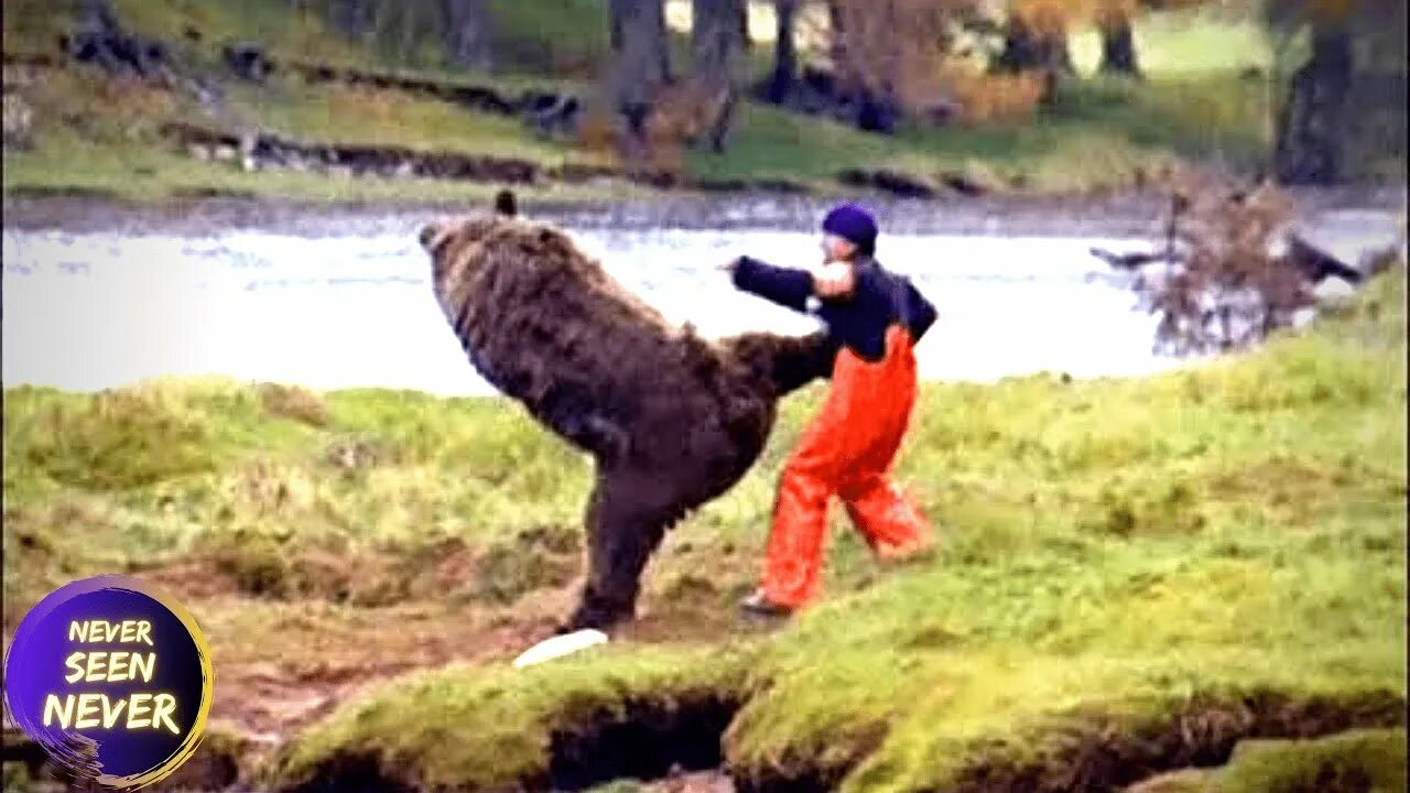 Человек дерётся с седведем. Хабиб нурмагомедов и медведь. Медведь и человек. Медведь гризли драка с человеком. Человек дерётся с седведем.