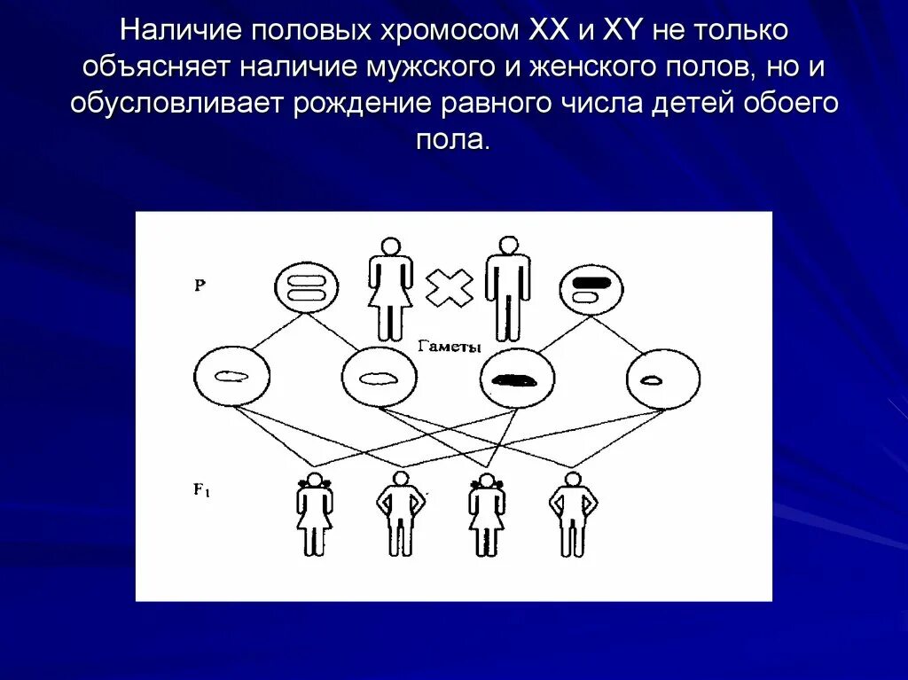 Наследование сцепленное с полом презентация 10 класс. Схема хромосомного обоазованияпола. Генетика пола и наследование сцепленное с полом. Схема хромосомного механизма образования пола. Хромосомы мужчины и женщины пол ребенка.