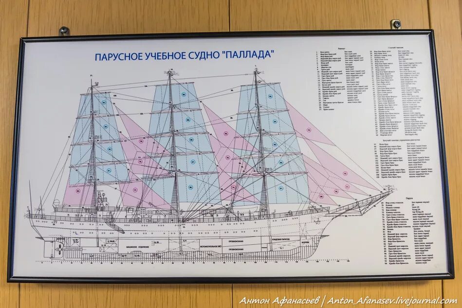 Парусник паллада владивосток. Трап в машинное отделение. Парусное судно паллада. Парусник паллада владивосток. Упс паллада.