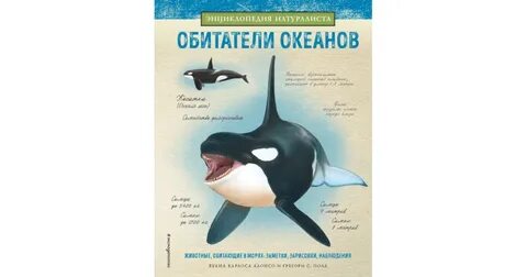 Звери морей и океанов 1 класс