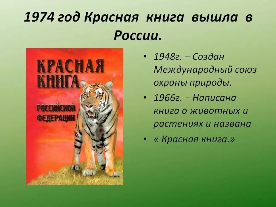 Животных из красной книги. Красная книга России. Животные. Животные международной красной книги. Красная книга животные книга. Красная книга животное план