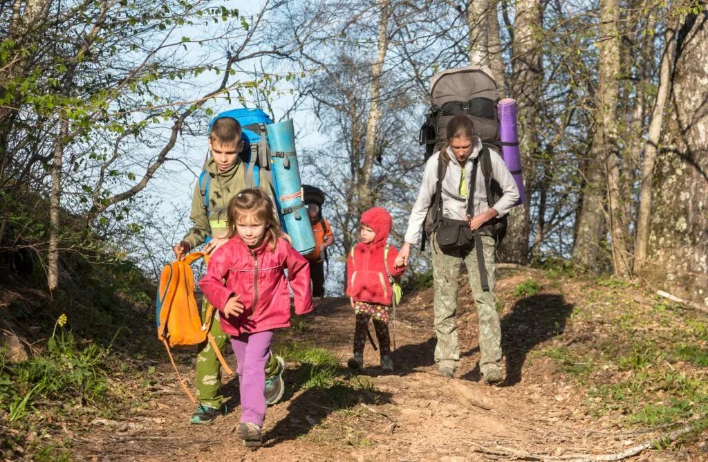 Школьный поход в лес. Экскурсии, походы. Hiking kids. Школьные походы с изучением мира растительности. Туризм дети.