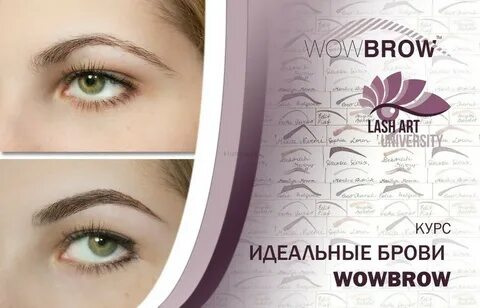 Курсы ламинирования бровей