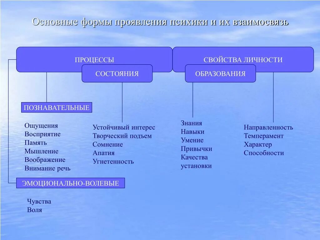 Схема основные формы проявления психики. Схема формы проявления психики человека. Формы проявления психики и их взаимосвязь. Основные формы проявления психики и их взаимосвязь. Устойчивый интерес в психологии