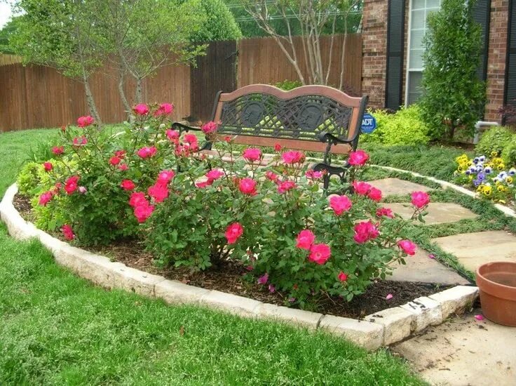 Lantana in my Front Garden Front yard landscaping, Front garden, Garden front of