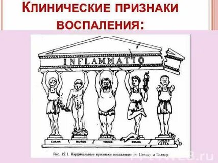Местные признаки воспаления