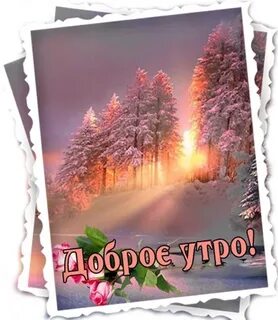 Нежен чист
