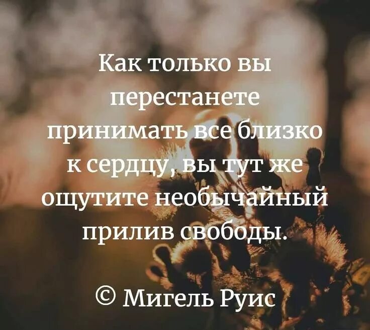 Как перестать воспринимать все близко. Не воспринимать близко к сердцу. психология цитаты. близко к сердцу цитаты. принимаю все близко к сердцу.