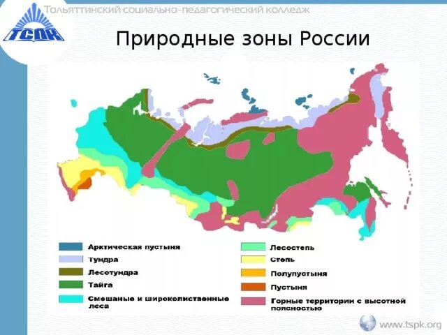 Различие природных зон россии. Природные зоны России 2023. Карта природных зон России. Природные зоны Тайга и тундра. Название природных зон России.