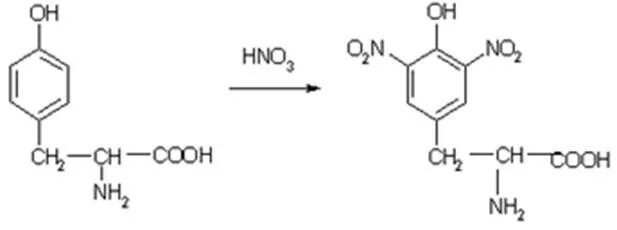 Ксантопротеиновая реакция белков реакция. Ксантопротеиновая реакция реакция. Ксантопротеиновая реакция триптофан. Ксантопротеиновая реакция на тирозин. Полипептиды с азотной кислотой дают фиолетовое окрашивание