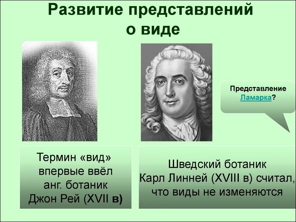 Термин вид ввел. Кто ввел термин вид. Кто впервые ввел термин биология. Кто предложил термин вид. Кто ввел термин вид.