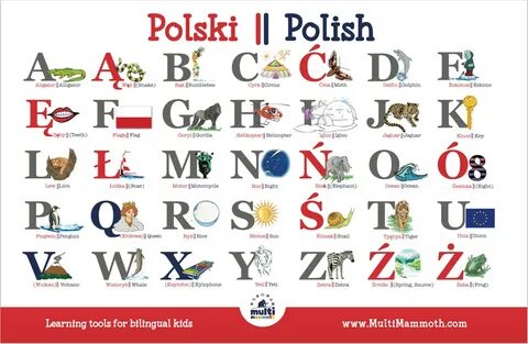Polish English bilingual alphabet image 0.
