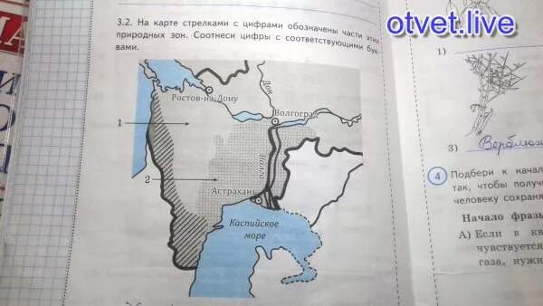 Для этой природной зоны характерна. Для этой природной зоны характерны песок и глина. Для этой природной зоны характерна самая плодородная почва. Для этой природной зоны характерна Пески и глина. Дальше идут степные места впр ответы